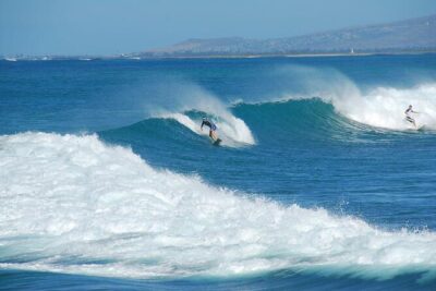 1.5-Hour Guided Whale Watching Tour - Your Route: Waimea Bay’s Winter Energy Sets the Tone