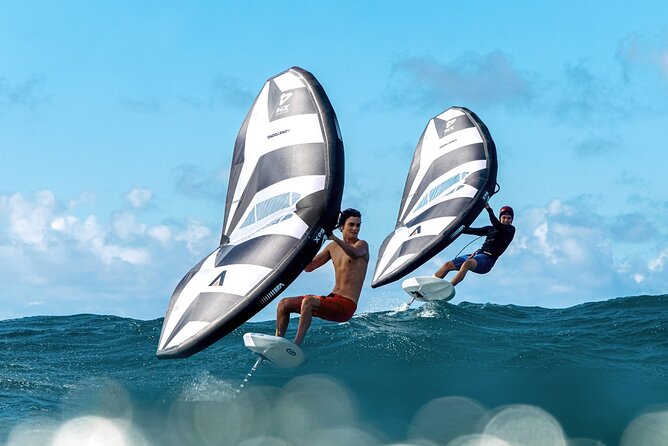 #1 eFoil 1.25 hr or 2 hr wing foil or windsurf or kayak lesson - Key points to know before you go