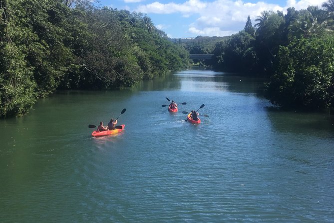 2-hour tandem kayak rental - Sit-on-Top Kayaks and the Paddling Intro: Beginner-Friendly by Design
