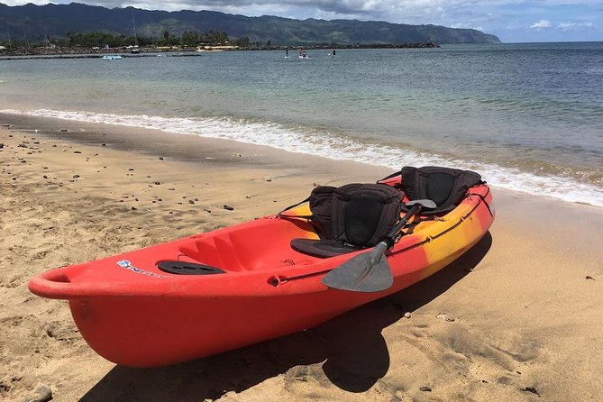 2-hour tandem kayak rental - Wildlife Chances in the Anahulu River: Sea Turtles and Tilapia