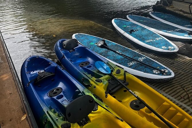 2 hour tandem kayak rental at our private launch area in Hale'iwa - Should you book this Haleiwa tandem kayak rental?