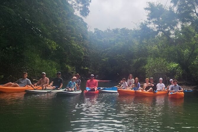 2 hour tandem kayak rental at our private launch area in Hale'iwa - The 2-hour paddling plan on the Anahulu River and out to the bay