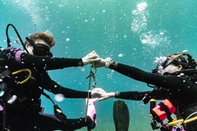 2 Tank Private SCUBA Party Diving Charter from Waikiki Hawaii - How the 3-Hour Flow Works: Two Stops, One Smooth Morning
