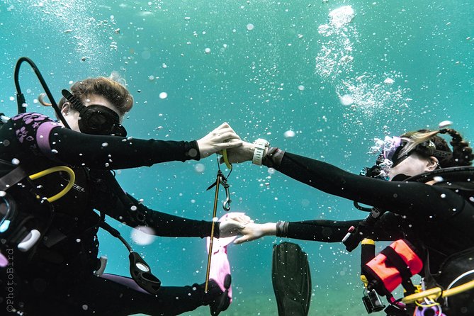 2 Tank Private SCUBA Party Diving Charter from Waikiki Hawaii - How the 3-Hour Flow Works: Two Stops, One Smooth Morning