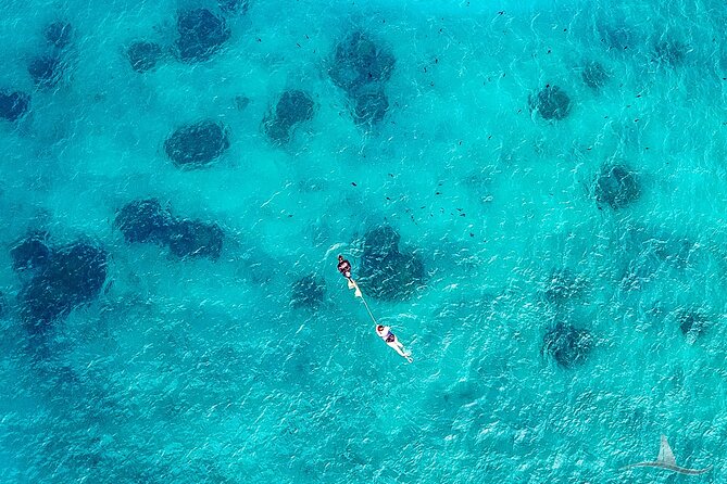 2hr Luxury Private Sailing Catamaran for 7-12 People - Friday Night Fireworks from the Water