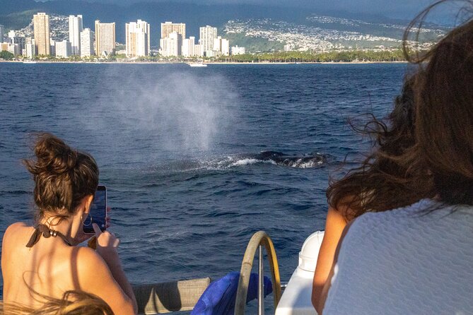 2hr Luxury Private Sailing Catamaran in Waikiki for 1-6 People - Smooth Waikiki Sailing From Ala Wai Boat Harbor