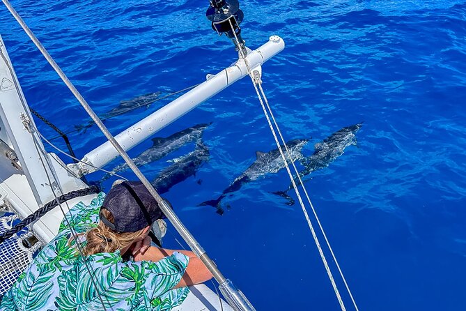 2hr Luxury Private Sailing Catamaran in Waikiki for 1-6 People - Crew Service: What Good Day-to-Day Handling Looks Like