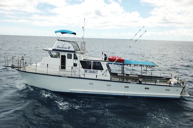 3-Hour Honolulu Bottom Fishing Adventure - Honolulu Bottom Fishing in Just Three Hours