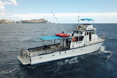 3-Hour Honolulu Bottom Fishing Adventure - Meeting Sashimi II: Kewalo Basin Timing That Works