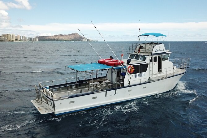 3-Hour Honolulu Bottom Fishing Adventure - Meeting Sashimi II: Kewalo Basin Timing That Works