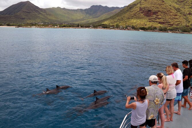 3 Zipline Adventure and 3.5 hour Afternoon Snorkel Cruise - Key highlights worth getting excited about