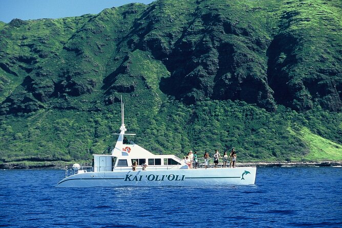 3 Zipline Adventure and 3.5 hour Afternoon Snorkel Cruise - Price and value: what $232.89 buys you in real terms
