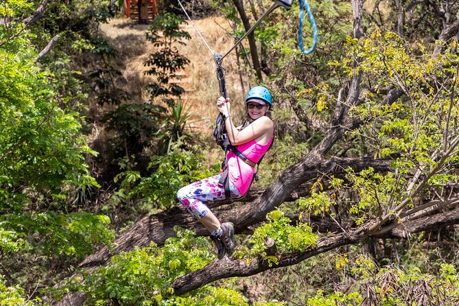 3 Zipline Adventure with Waikiki Transportation - Waikiki to Coral Crater: The Real Reason This Feels Special