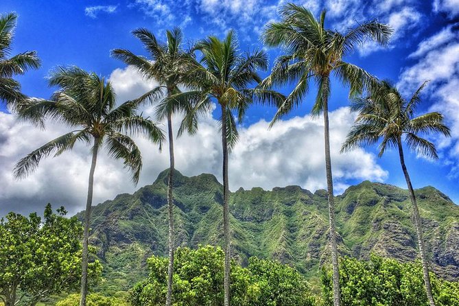 4 Hour Half Day Island Jeep Tour - The guide factor: why Wayde keeps showing up in the top reviews