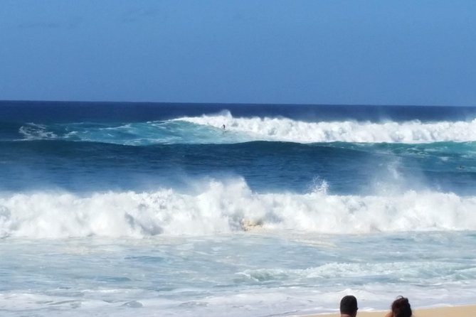 6-Hour Private Customized Luxury Convertible Tour of Oahu's North Shore - Waimea Valley: botanical walk plus waterfall swim (with logistics you should know)
