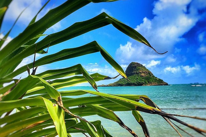 8 Hour Circle Island Jeep Tour - Who This Tour Is Best For (And Who Should Skip It)