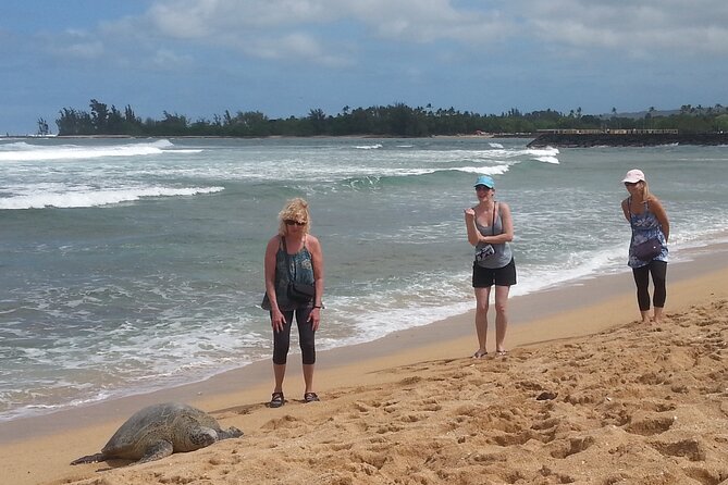 8-Hour Luxury Four Door Convertible Tour of Oahu's South and North Shores - Waimanalo: A Quiet Contrast to Waikiki