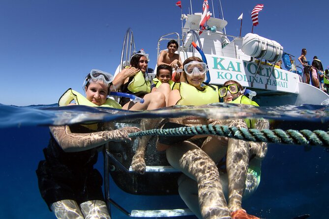 All-Inclusive Sunset Dolphin Watch and Snorkeling Cruise - Quick highlights (what matters most)