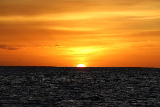 All-Inclusive Sunset Dolphin Watch and Snorkeling Cruise - After snorkeling: showers, dinner, and drinks before the sky show