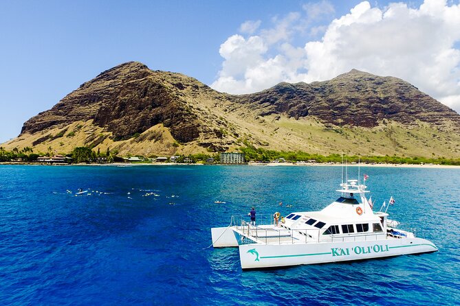 All-Inclusive Sunset Dolphin Watch and Snorkeling Cruise - Who should book, and who should skip this cruise?