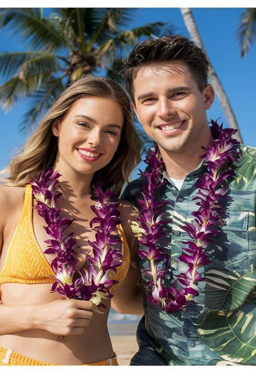 Arrival Lei Greeting --HNL to Waikiki Private Transfer - Flight-Tracked Pickup: What It Means When Plans Change