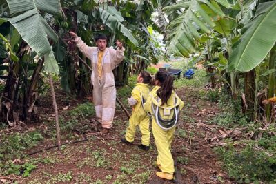 Bee Farm Ecotour and Honey Tasting in Waialua, North Shore Oahu - Getting Suited Up: The Start That Makes the Hives Less Scary
