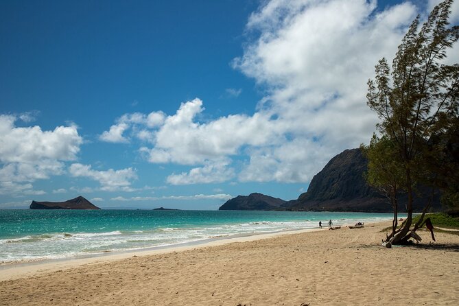 Best Of Oahu: Grand Circle Island Small Group Tour From Waikiki - Halona Blowhole and Makapu‘u Point: coastline drama in short bursts