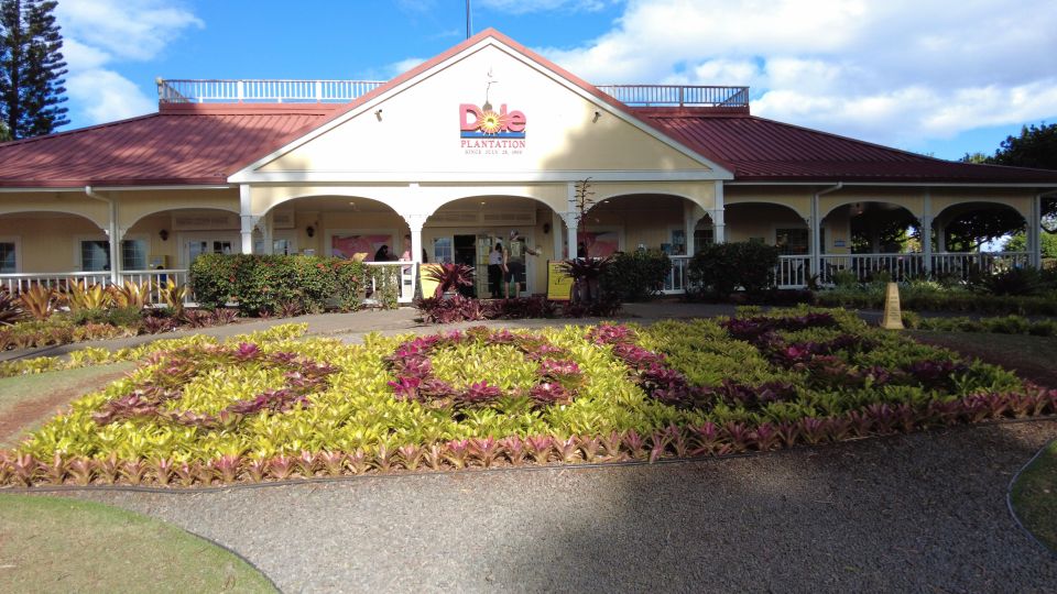 Best of Oahu in One Day - Key highlights you’ll feel immediately