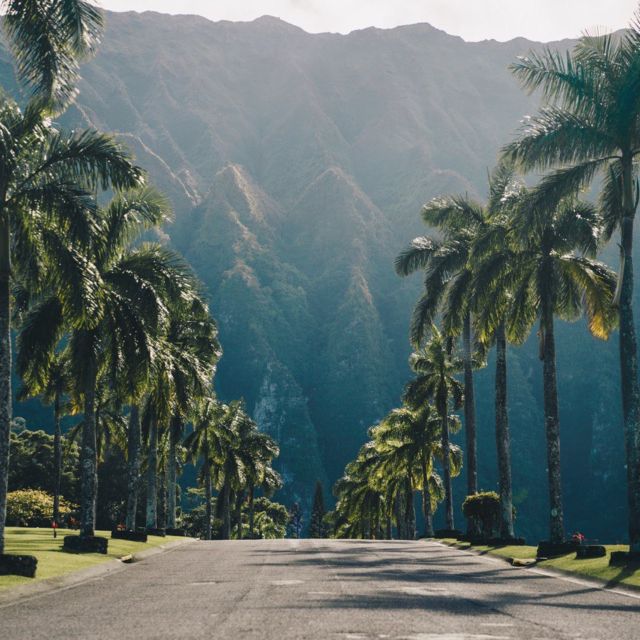 Best of Oahu in One Day - Lunch on the North Shore: shrimp, a food truck, or your own pick