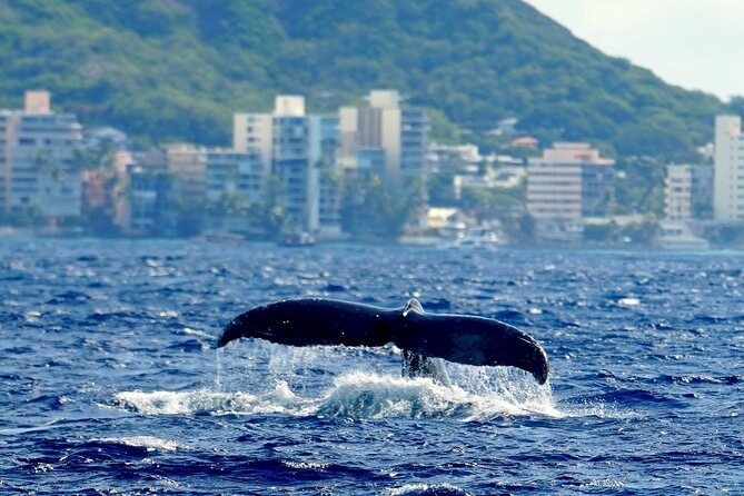 BYOB Sunset Cruise Waikiki - Who this cruise is best for (and who should skip it)