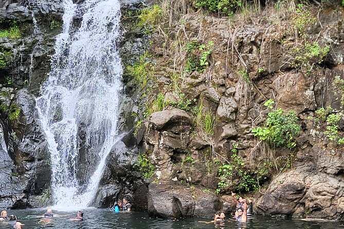 Byodo Temple and Waimea Botanical Garden Tour - Tropical Farms and the “treat + restrooms” reset