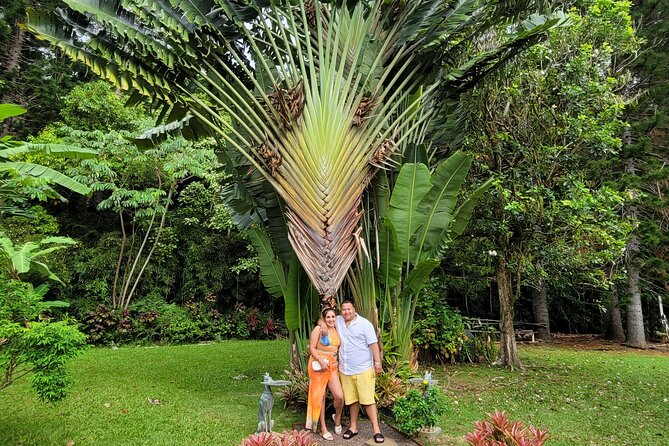 Byodo Temple and Waimea Botanical Garden Tour - Waimea Botanical Gardens and the Waterfall walk: swimming rules and shoe advice