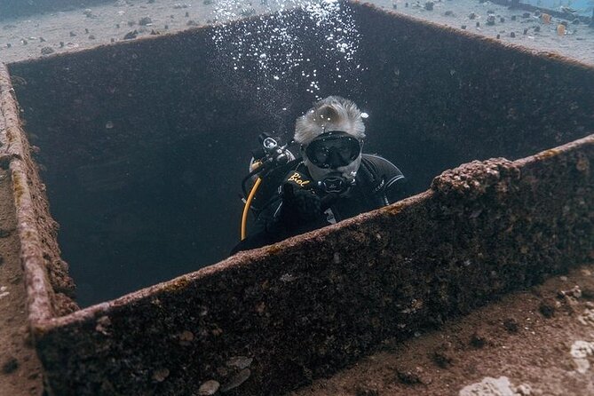 Certified Divers: Best 2-Tank Wrecks & Reef Boat Dive All Inclusive From Waikiki - Price and Value: Does $259 Make Sense for a 2-Tank Day?