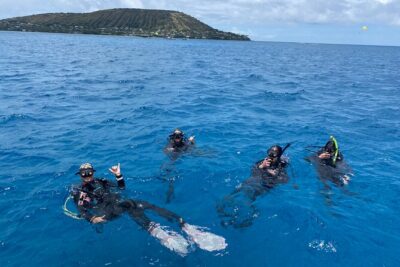 Certified Scuba Diving Along Two Shallow Reef Sites - Two Shallow Reef Stops at 30–40 Feet: What to Expect Underwater