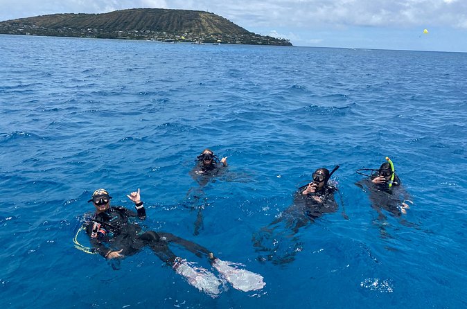 Certified Scuba Diving Along Two Shallow Reef Sites - Gear Is Provided: A Real Value for a Short Oahu Day
