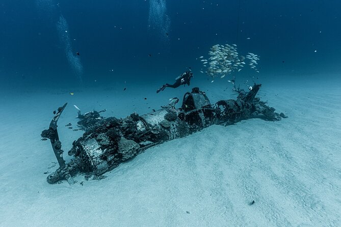 Certified Scuba Diving Experience in Honolulu - The Charter’s Real Goal: Advanced, Not Beginner