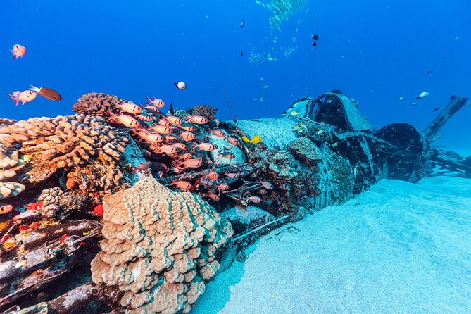 Certified Scuba Diving Experience in Honolulu - What Those Depths Mean for You (Without Guesswork)