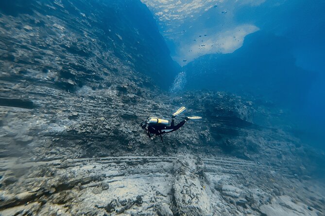Certified Scuba Diving Experience in Honolulu - Getting to 307 Hahani St: Two Pickup Options
