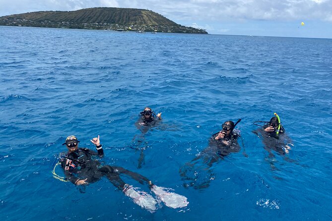 Certified Scuba Diving Experience in Honolulu - Timing and Fitness: The Practical Reality Check