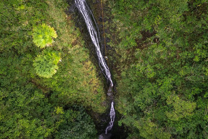Chasing Waterfalls:Wild Hawaii Rappelling - What this waterfall rappel on Oahu is really like