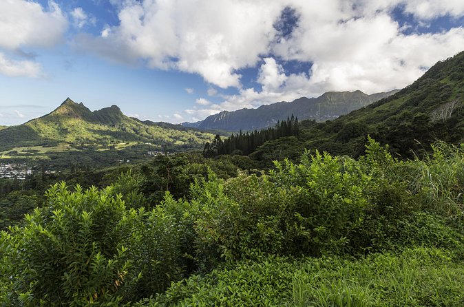 Circle Island (Holoholo Mokupuni) from Ko'olina - Waimea Valley: The 45-Foot Waterfall and the Water-Your-Shoes Moment