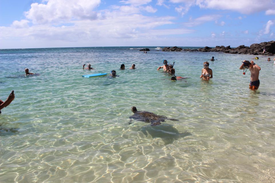 Circle Island: Swim with Turtles and Explore Paradise Oahu - Dole Plantation: pineapple gardens plus the ice cream people talk about