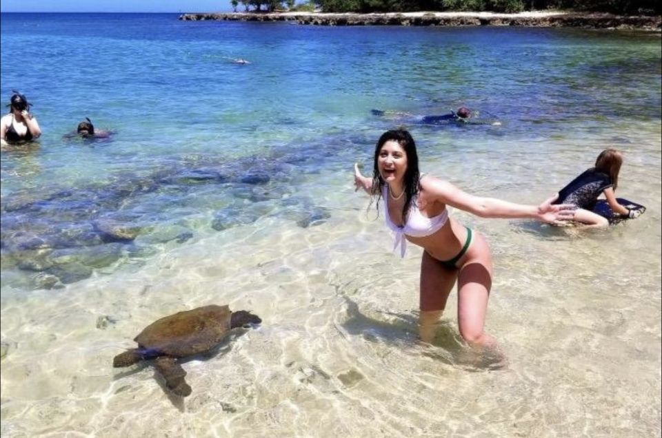 Circle Island: Swim with Turtles and Explore Paradise Oahu - A morning circle-island route that starts with smart timing