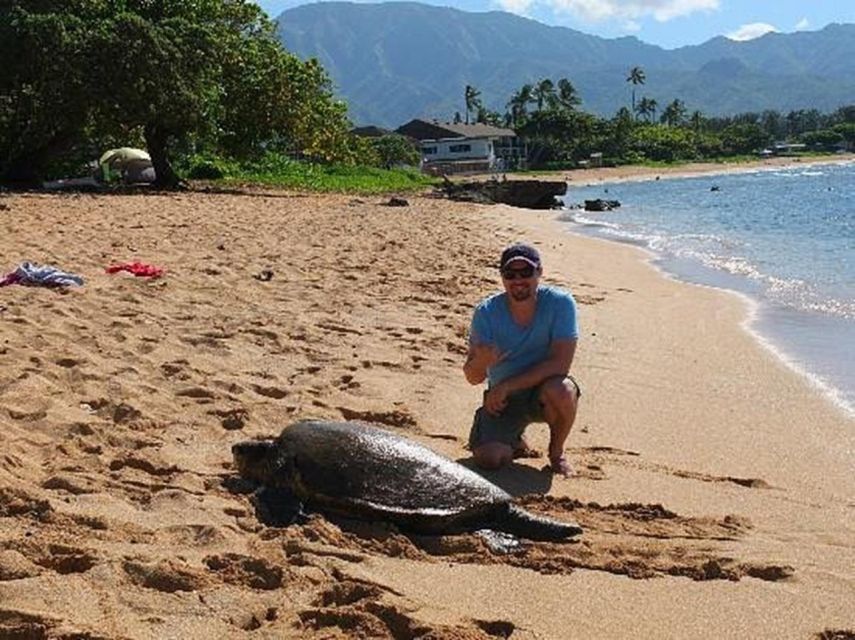 Circle Island: Swim with Turtles and Explore Paradise Oahu - Tropical Farms and macadamia tasting: the local flavor stop