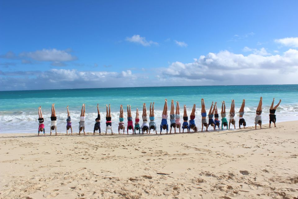 Circle Island: Swim with Turtles and Explore Paradise Oahu - Chinaman’s Hat and Mokoliʻi: movie-set views and wildlife vibes