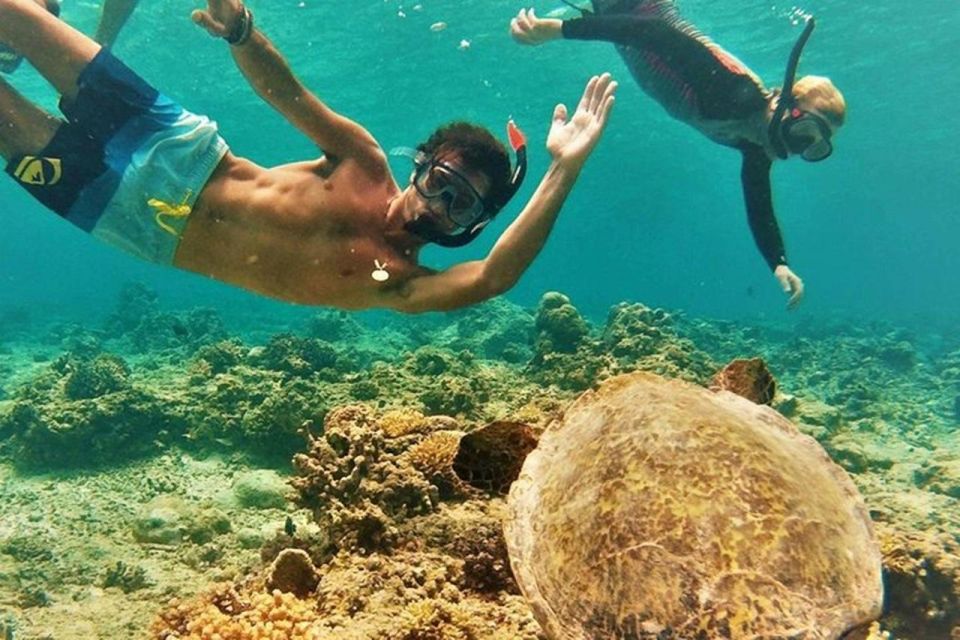 Circle Island: Swim with Turtles and Explore Paradise Oahu - Turtle Town snorkeling: Honu time, safety-first, and real water time