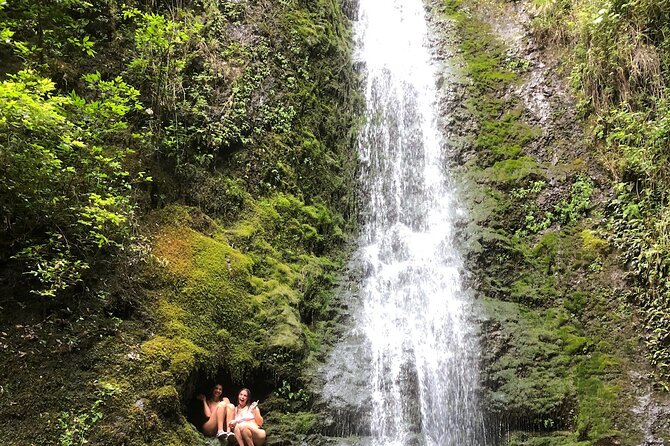 Circle Island tours - swim with turtles,Private & Small Group Tours - Haleiwa and the macadamia nut farm: a classic finish with real buy-in