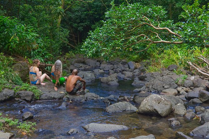 Custom Island Adventure Tours - What This Private Oahu Day Really Feels Like