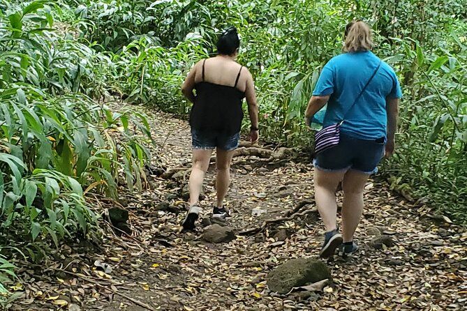 Custom Island Adventures Tour - North Shore road time: beaches, Haleiwa, and the scenic route