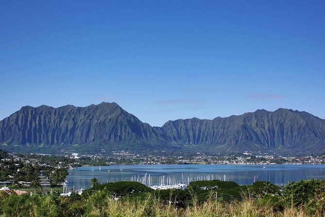 Custom Island Tour - for 4 to 5 people - up to 8 hours - Private tour of Oahu - Pine Tree Park, Waikiki Views, and Dole-Area Time